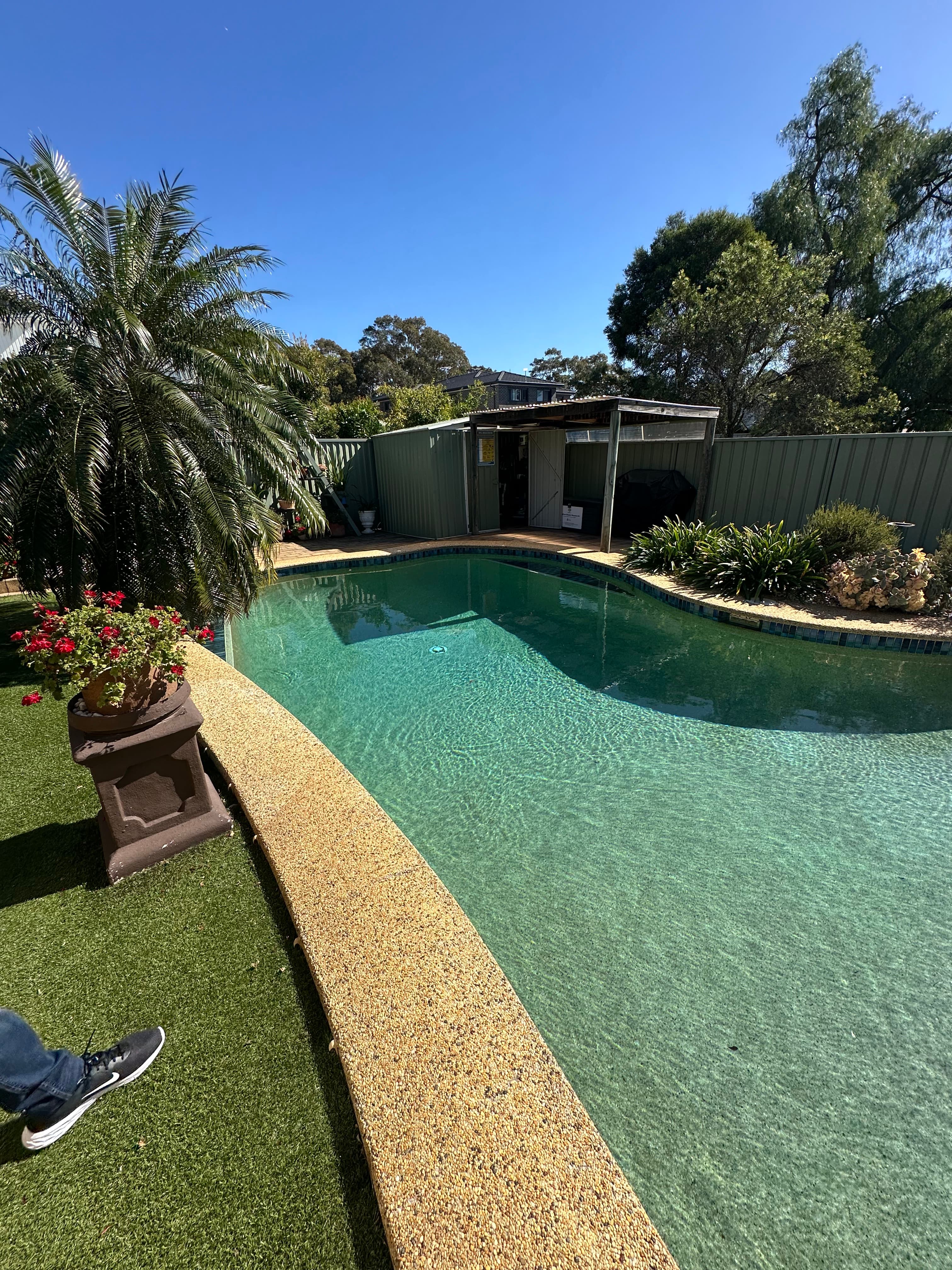 Pool removal — before